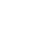_0031_logo-allp-fit-branco